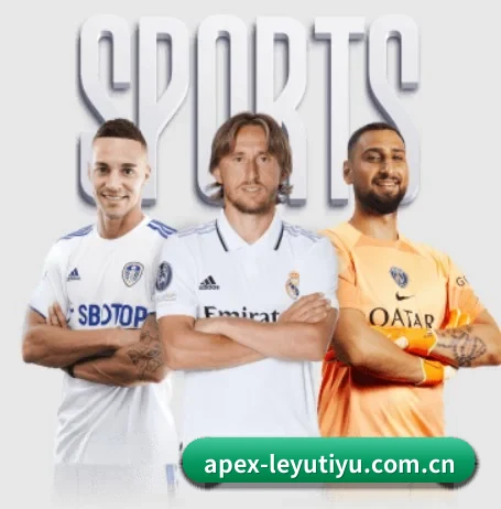 五大服务分区,信息按项目分类（leyu）